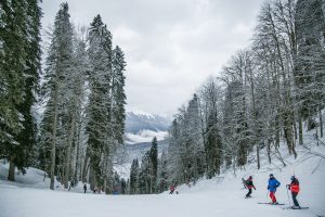 découvrez le ski durable : alliez plaisir des glisses et préservation de l'environnement. explorez des destinations écoresponsables, des pratiques éthiques et des conseils pour réduire votre empreinte carbone tout en profitant des magnifiques pistes enneigées.