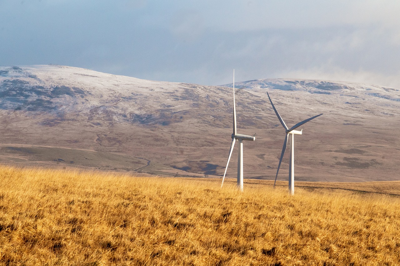 découvrez l'univers des énergies renouvelables : des solutions durables et écologiques pour un avenir énergétique responsable. informez-vous sur les différentes sources, les technologies innovantes et les bénéfices environnementaux.