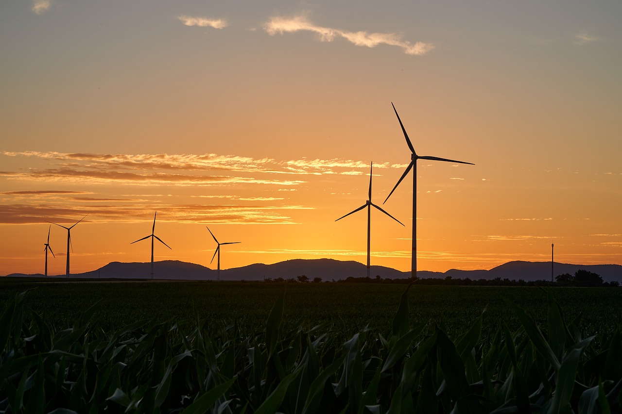 découvrez les avantages et les innovations des énergies renouvelables. explorez comment ces sources d'énergie durable contribuent à la protection de l'environnement et à la lutte contre le changement climatique.