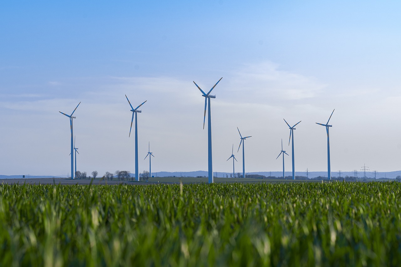 découvrez les enjeux de la durabilité et de la responsabilité écologique. apprenez comment intégrer des pratiques durables dans votre quotidien pour préserver notre planète pour les générations futures.