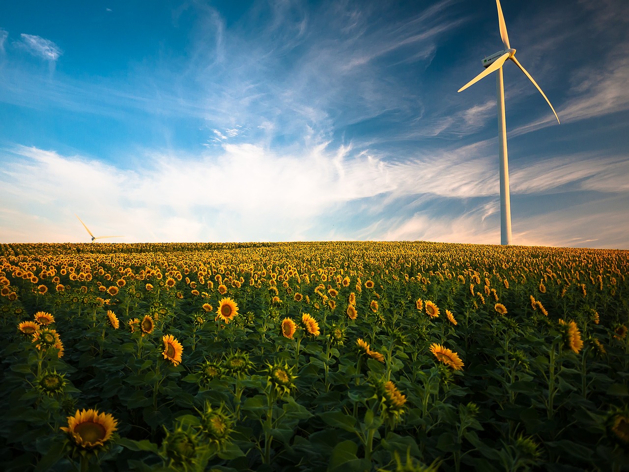 Comment les énergies renouvelables contribuent à la lutte contre le changement climatique