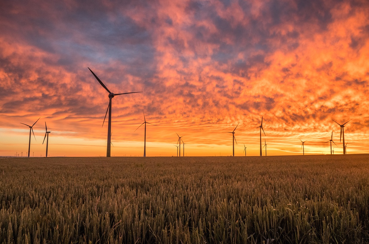 découvrez comment l'énergie utilisée par internet impacte notre environnement. explorez les enjeux écologiques des centres de données, des réseaux et de la consommation numérique, et trouvez des solutions pour réduire votre empreinte carbone en ligne.