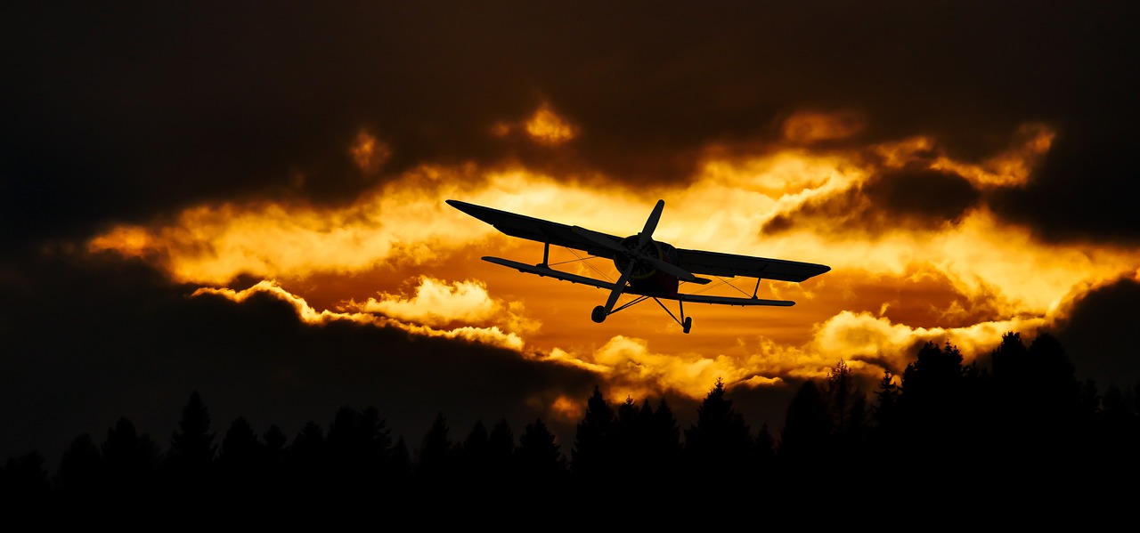 découvrez l'univers fascinant de l'aviation : son histoire, ses innovations technologiques, ses enjeux écologiques et les carrières passionnantes qu'elle offre. plongez dans le monde des avions, des pilotes et des voyages aériens.