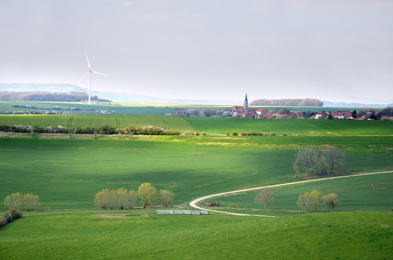 découvrez les enjeux du développement durable, une approche essentielle pour préserver notre planète et améliorer la qualité de vie des générations futures. explorez des stratégies, des initiatives et des solutions innovantes pour un avenir respectueux de l'environnement et socialement responsable.