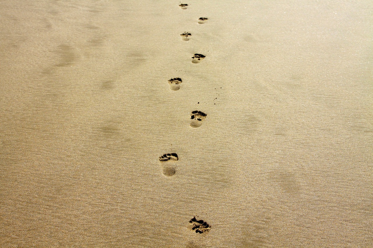 découvrez tout sur l'empreinte carbone : son impact sur l'environnement, des conseils pour la réduire au quotidien, et des solutions pour un avenir durable. engagez-vous dès aujourd'hui pour un mode de vie écoresponsable.